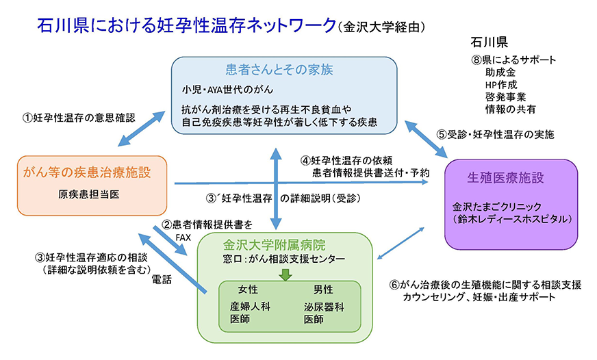石川県における妊孕性温存ネットワーク（金沢大学経由）